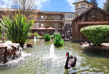 Embassy Suites Hotel