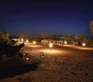 Overnight Safari in Dubai (Tent)