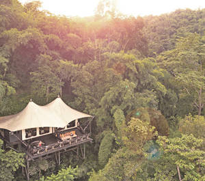 Four Seasons Tented Camp Golden Triangle