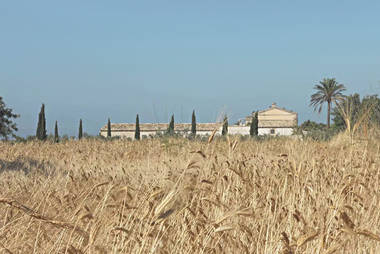Tenuta Cammarana