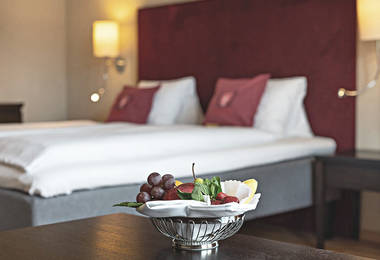 Hotel Krebs