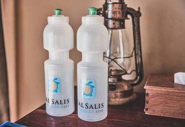 Sal Salis