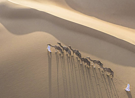 Qasr al sarab desert resort by anantara