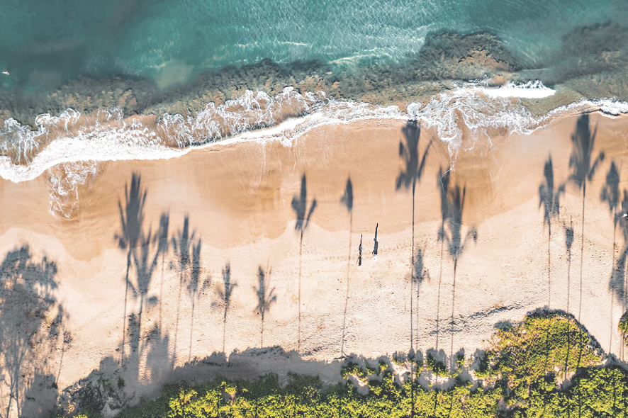 Four Seasons Maui at Wailea